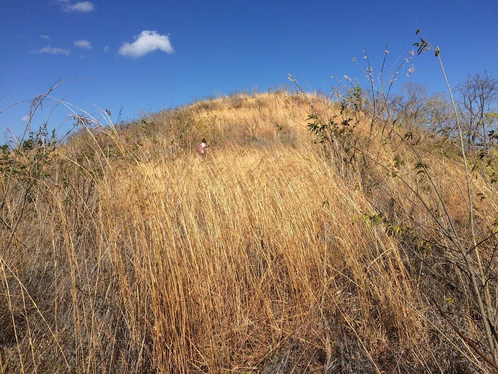 Ocean view property in the area of Guanacaste, great commercial opportunity near the Hotel Riu - photo 12