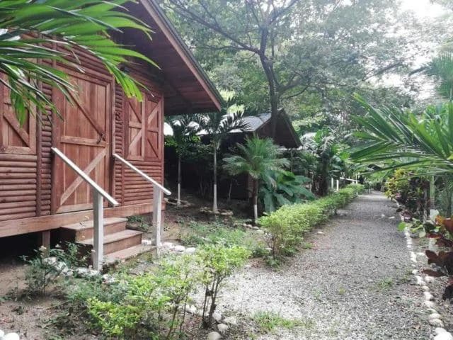 Hotspring Resort for sale in Salitral, Cold and Warm spring swimming pools surrounded by teak and eucalyptus rustic cabins - photo 9