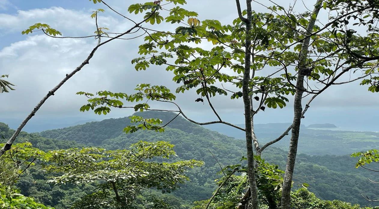 Ocean View Farm for Sale Guanacaste Costa Rica - photo 9