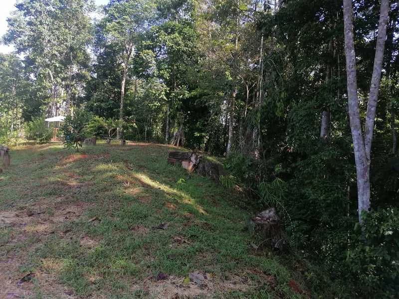 2.47 Acres Property | Mountain Top Ocean View lot in Bahía Chal - photo 21
