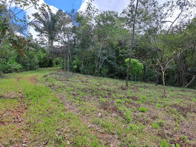 Lotes Mirador: Lotes Mirador, Breathtaking Lots with Stunning Ocean and Mountain Views, Large Building Pads, just 30 minutes from Samara Beach - photo 12