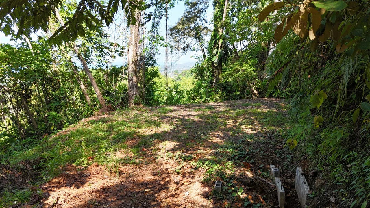 Exceptional Development Opportunity 71 acre Riverfront & Ocean View in Hatillo - photo 5