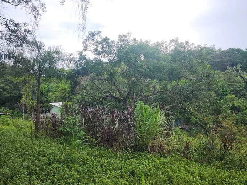 Subdividable lot in Manuel Antonio - photo 9