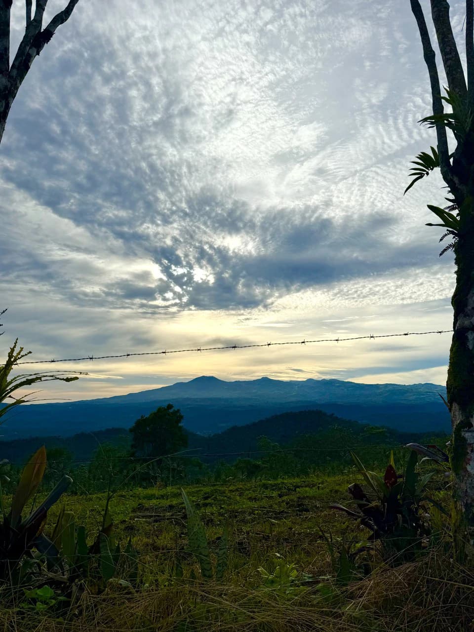 13.81-ACRE COSTA RICA MOUNTAIN PROPERTY | PANORAMIC SUNRISE-TO-SUNSET VIEWS + ELECTRICITY & PRIVATE WELL | NEAR LA FORTUNA — $195,000 - photo 10