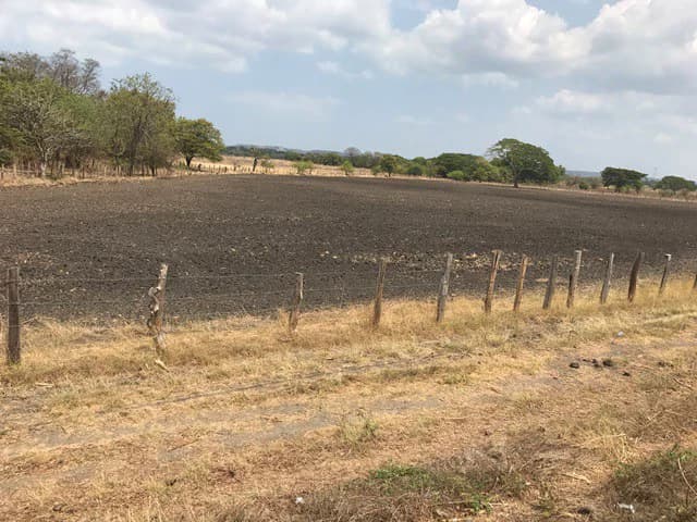 Great opportunity: Big property in Palmira de Carrillo - photo 6