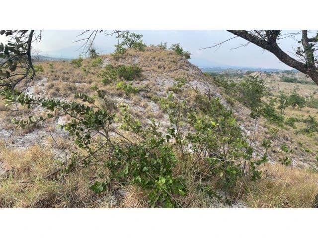 Zoning for homes, apartments, and warehouses in the mountains of Liberia, Beautiful 9.7 ha land with building permits - photo 20