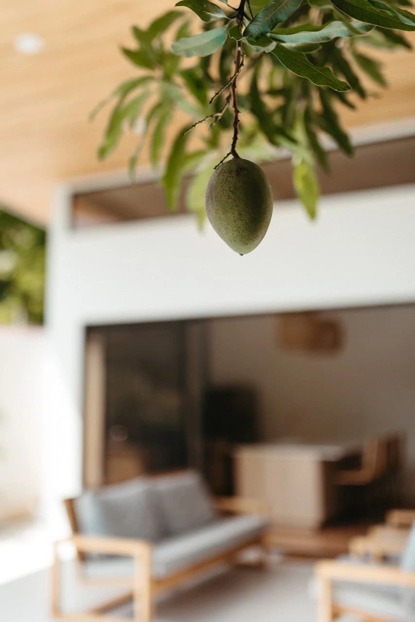 Casa Mango: Elevated Boho Home near the Beach - photo 22