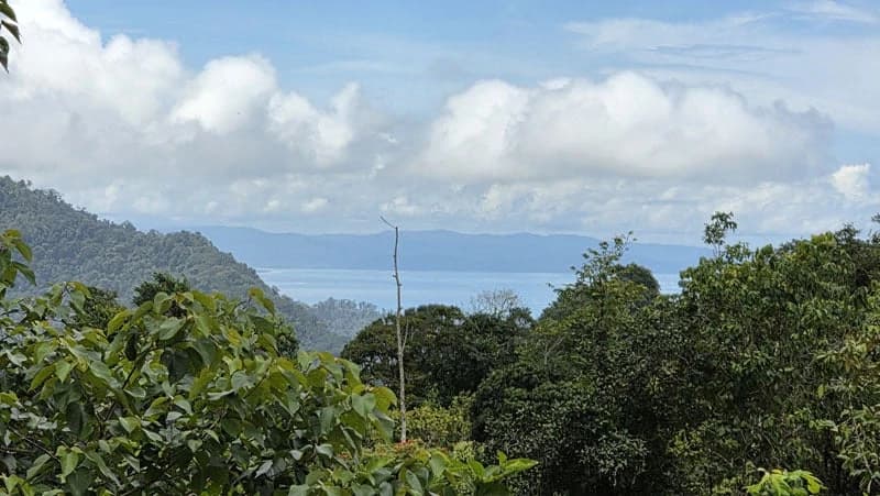 116-Hectare Finca for Sale Near Uvita with Whales Tail Views and 10 Waterfalls | La Faralla, Bahia Ballena, Uvita, Puntarenas, Costa Rica - photo 50