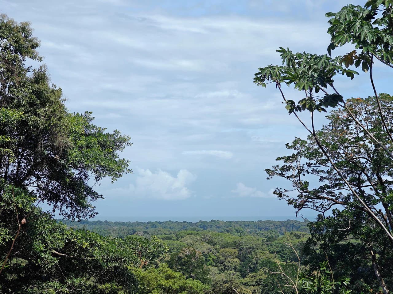 61,618m² of Land near Cahuita: With Existing Infrastructure and Ocean View