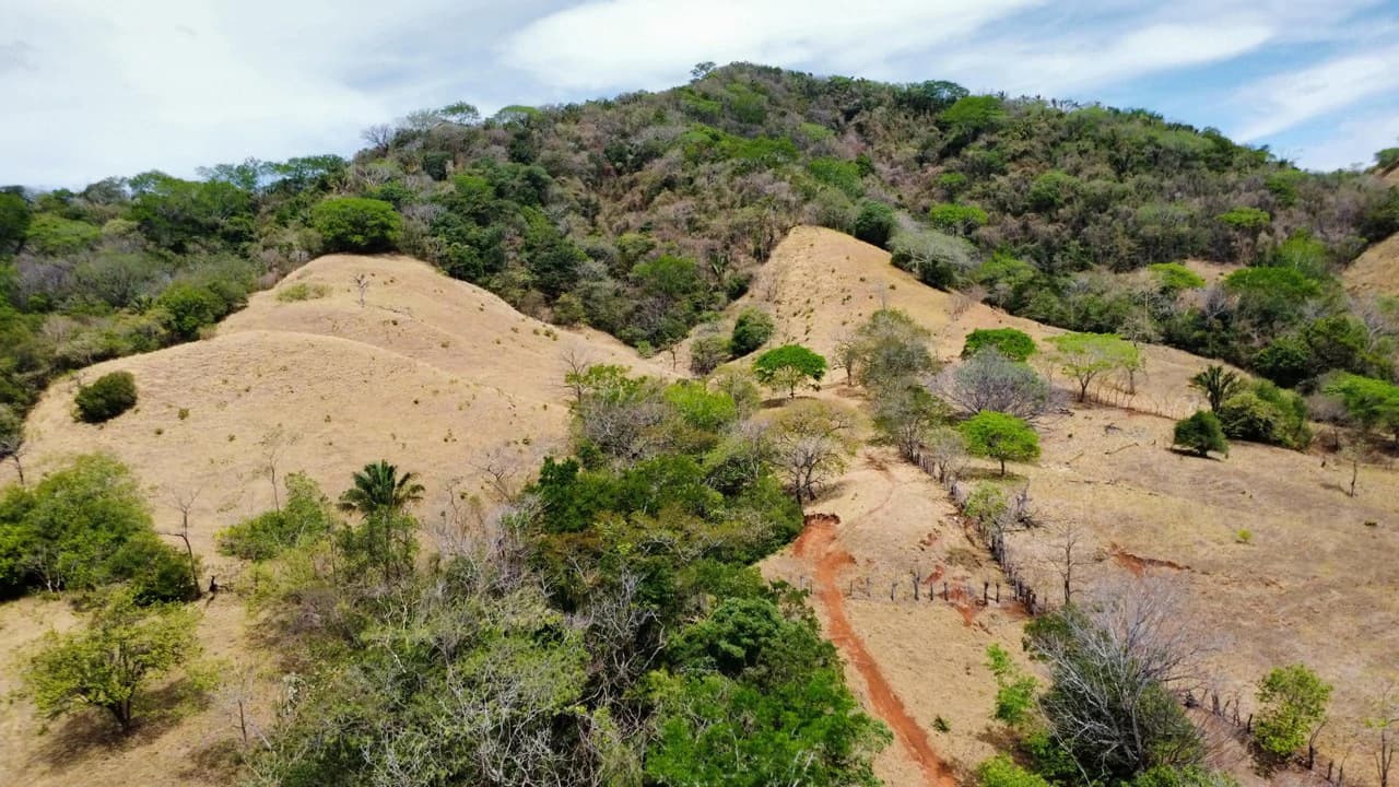 37-Hectare Ocean View Development Property Near Sámara, Buena Vista & Barrigona - photo 2