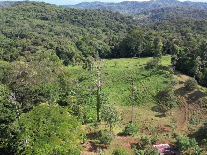 69.16 Acres Property | Mountain & Top Ocean View with Small Home - photo 22