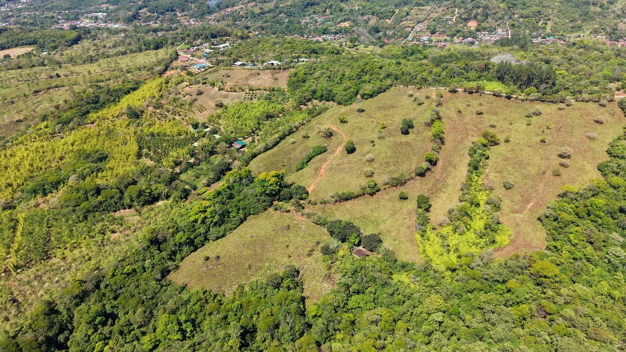 Agricultural Land For Sale in MORAZAN - photo 14