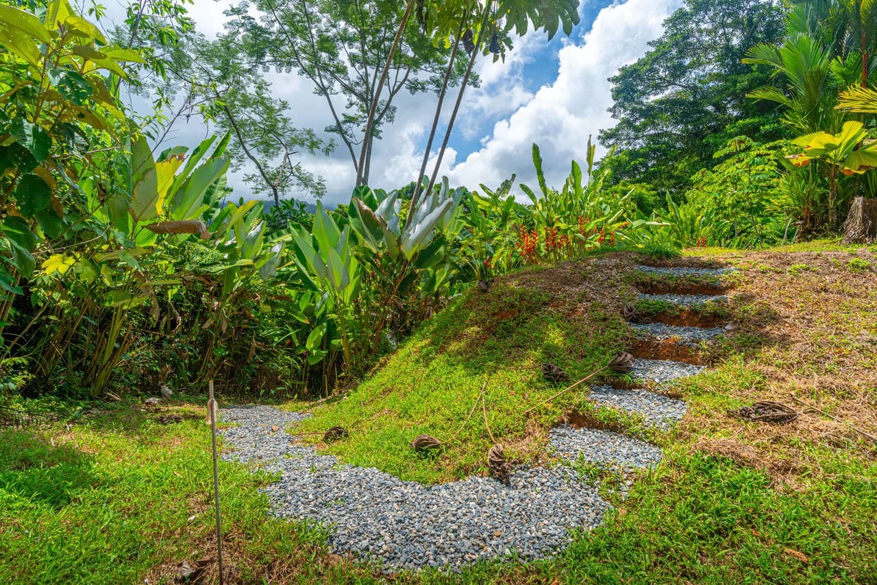Amazing Mountain View and Ocean View House and Guest House on 4.5 Acres of land in Ojochal - photo 38
