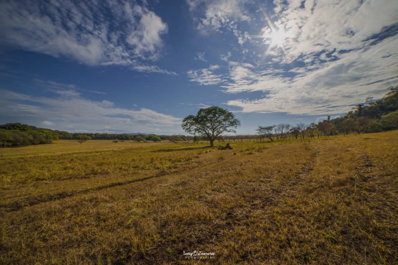 Land for Sale Lepanto Puntarenas overlooking the Gulf Costa Rica - photo 6