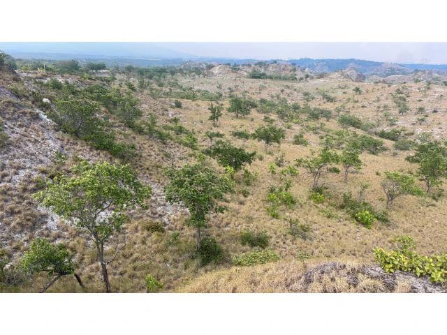 Zoning for homes, apartments, and warehouses in the mountains of Liberia, Beautiful 9.7 ha land with building permits - photo 21