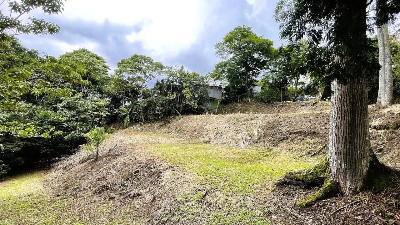 LAND FOR SALE IN SAN MIGUEL, NARANJO - photo 11