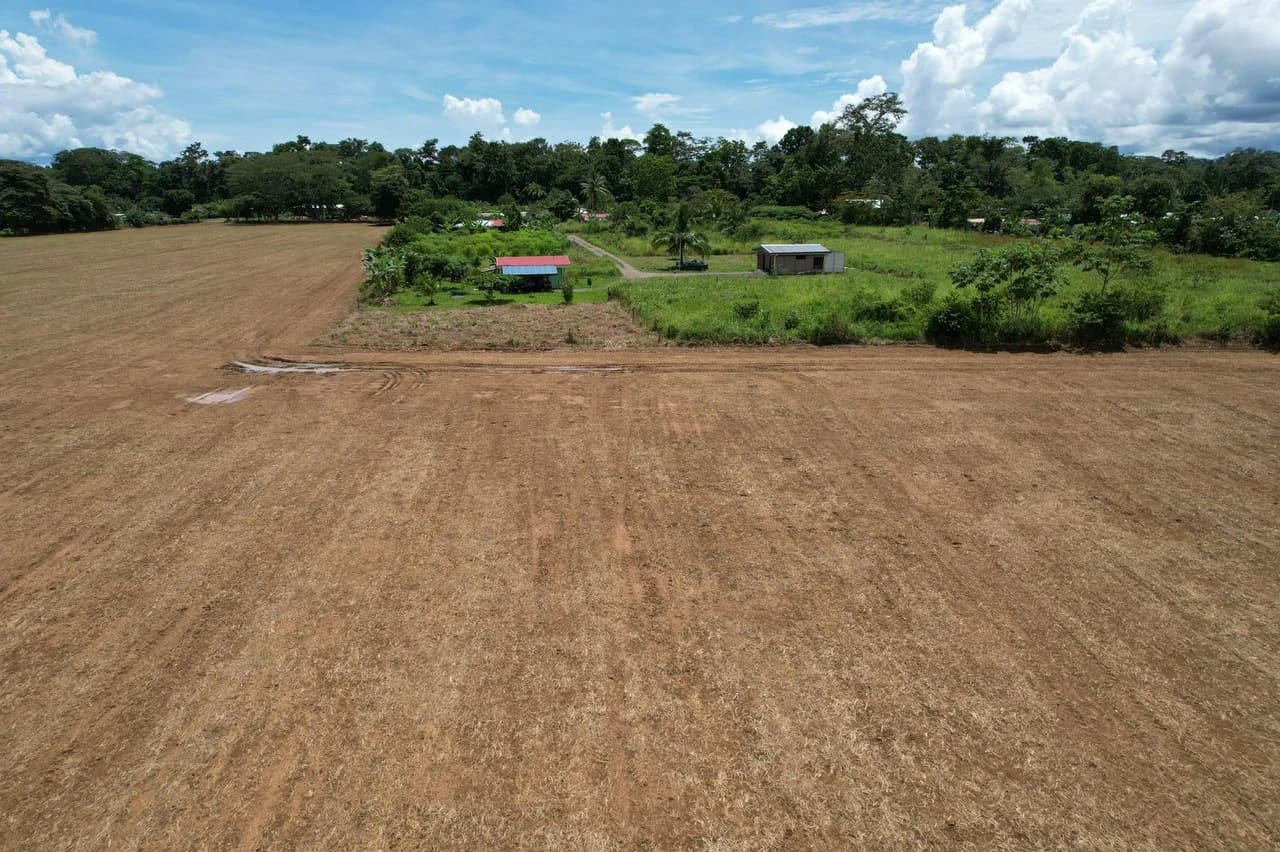 Finca La Palma, Puerto Jimenez: Excellent location ideal for development - photo 4