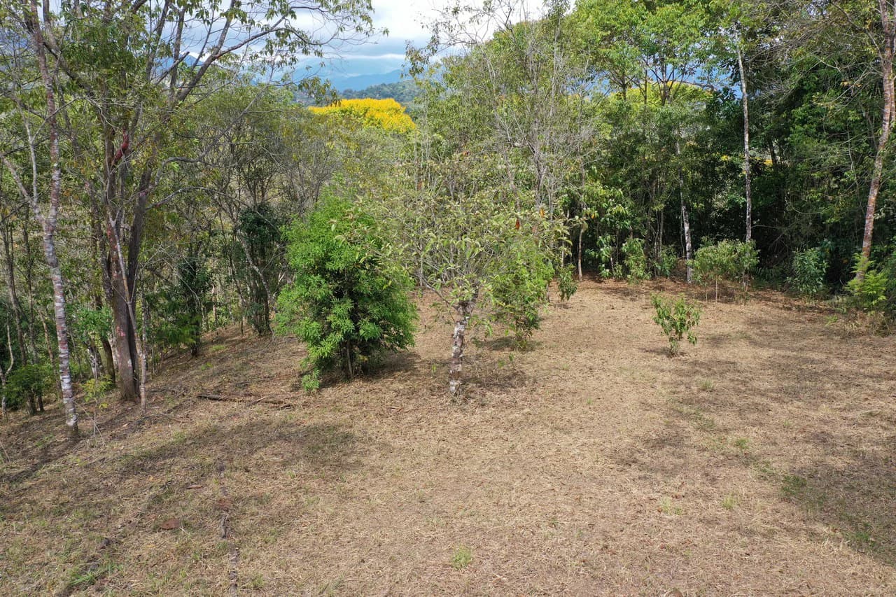Elevated Two and a Half Acres with Cool Breeze in San Isidro del General - photo 7