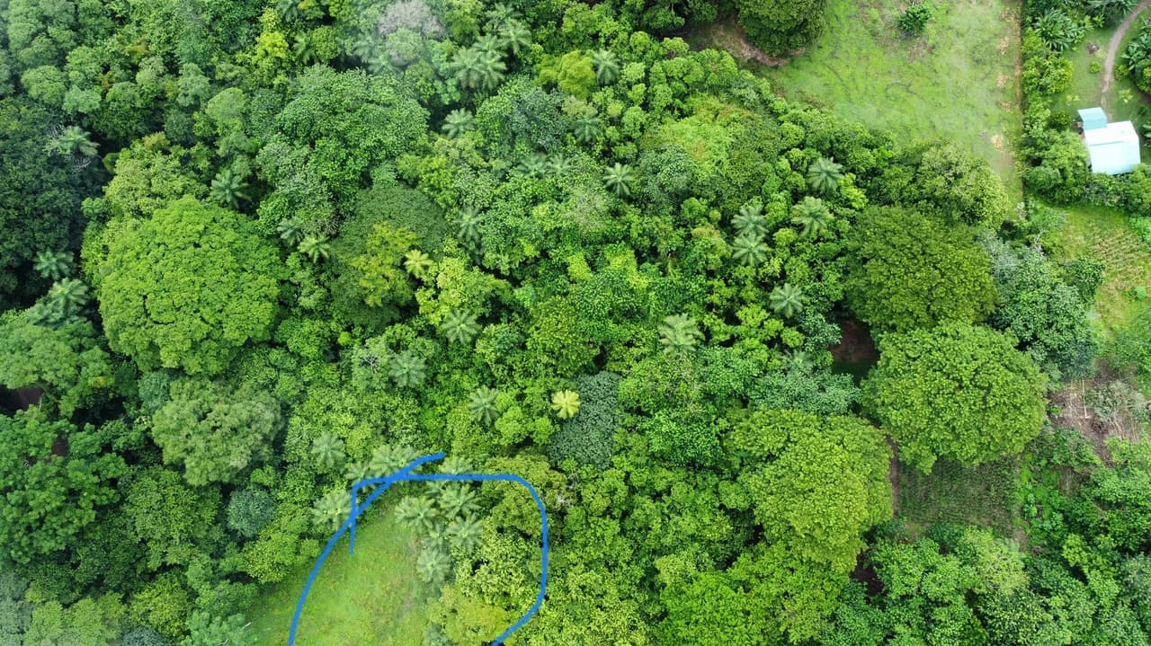 Beach Lot #2: 2,263 m2 Nicoya Blue Zone lot - photo 4