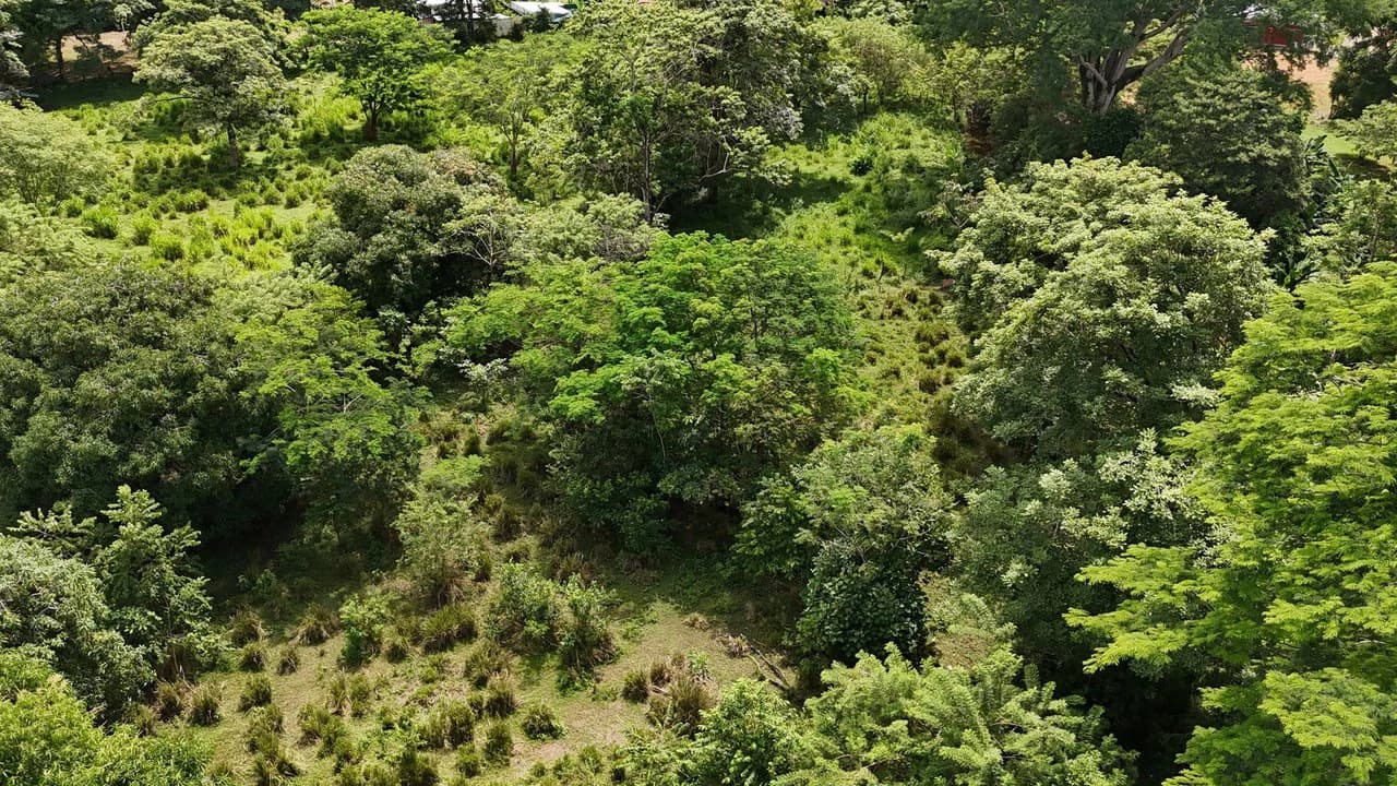 Walk to the beach, Developement Land, Mini Ranch, Central Uvita - photo 14
