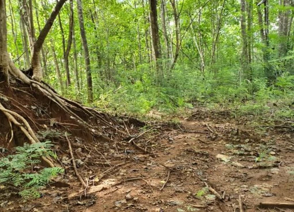 First Time Listed! Playa Avellanas Costa Rica Ocean View Development Land for Sale. Water and Land letter in Place. A Developer Dream! - photo 11