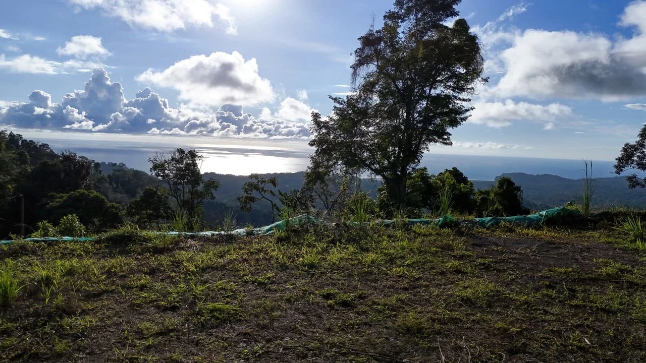 Year-Round Sunset Views | 3 Connected Build-Ready Lots - photo 19