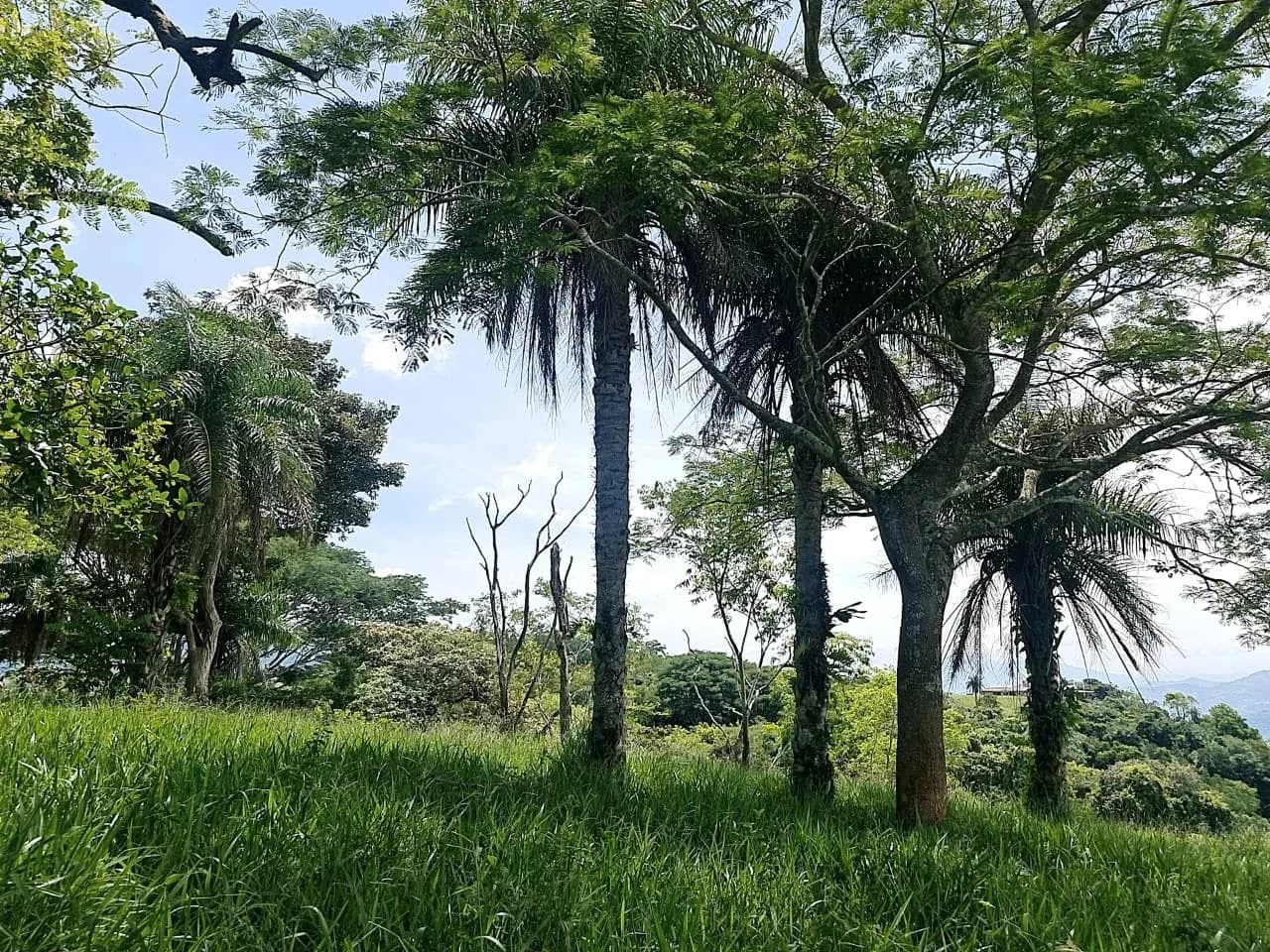 Near the Coast and Mountain Home Construction Site For Sale in Orotina y Caldera - photo 12