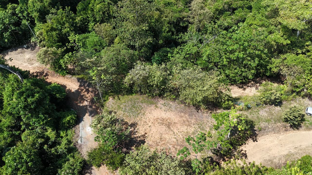Exceptional Development Opportunity 71 acre Riverfront & Ocean View in Hatillo - photo 15