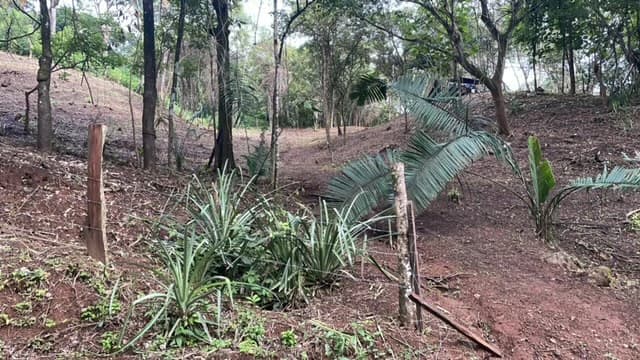 Beautiful Property for Sale in the Mountains of San Juanillo – Prime Land with Building Potential Just 10 Minutes from the Ocean - photo 15