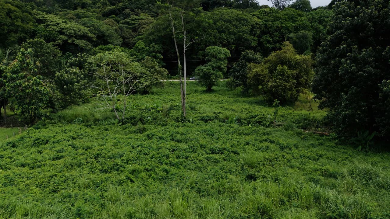Strategic 5000sqm Commercial Property in Uvita: Perfect for any Business Vision - photo 8