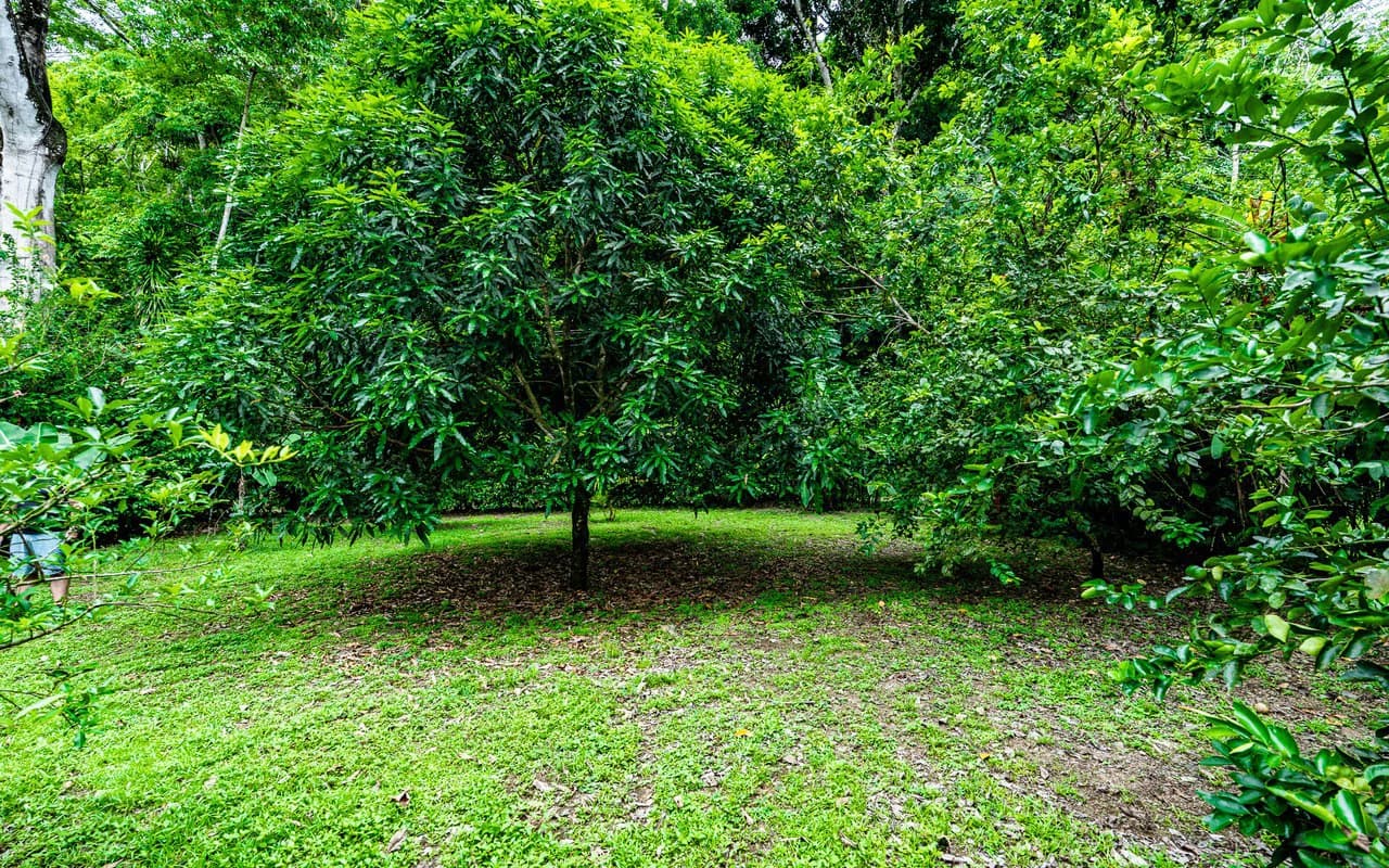 Baru Riverfront Oasis Walkable to Dominical Beaches - photo 61