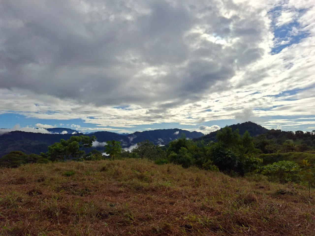 Off-Grid Ocean View Lot | 1.7 Acres in Las Nubes Matapalo Hills - photo 19