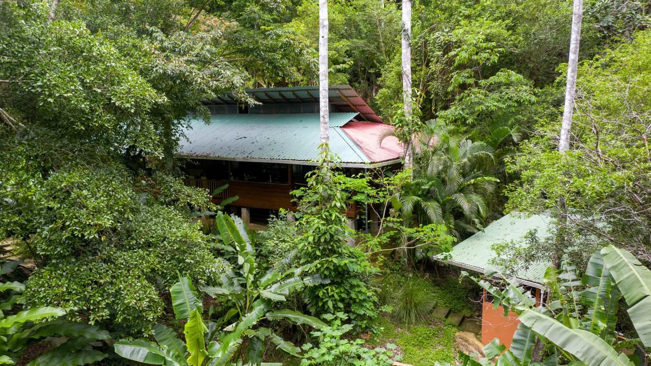 4 Bd/3 Ba - Two Caribbean Homes w/ Pool, on 5000m²: Dual Home Jungle Property in Punta Uva - photo 25