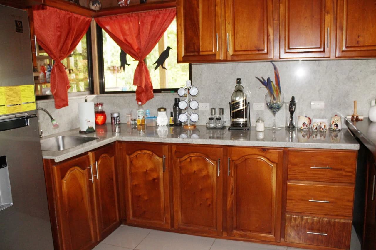 Charming Country Farmhouse with Profitable Ornamental Plant Farm: Great location near La Fortuna and Ciudad Quesada - photo 3