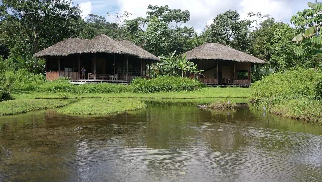 60 Acre Fully Sustainable and Impactful Conservation Initiative Near Golfito: Mountain Multi Unit Building For Sale in Golfito - photo 21