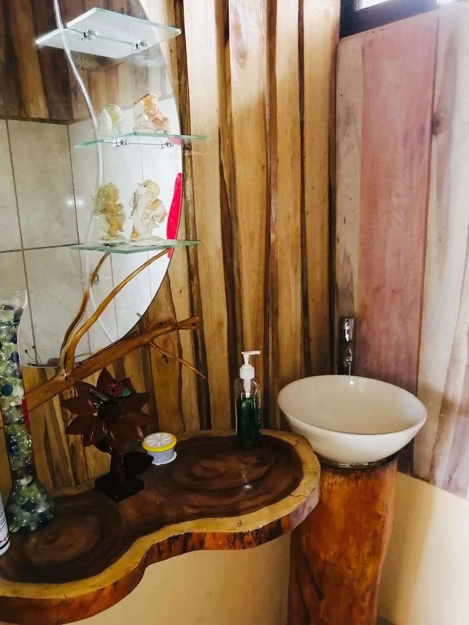 Charming Country Farmhouse with Profitable Ornamental Plant Farm: Great location near La Fortuna and Ciudad Quesada - photo 4