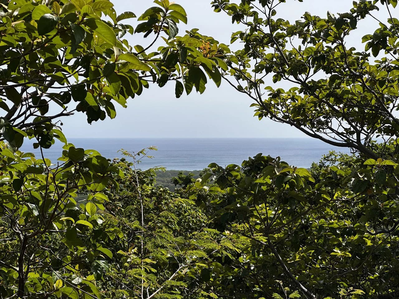 Ocean View Lot Negra Beach: Ocean View Hilltop Lot In Negra Beach, Finca Los Pargos - photo 2