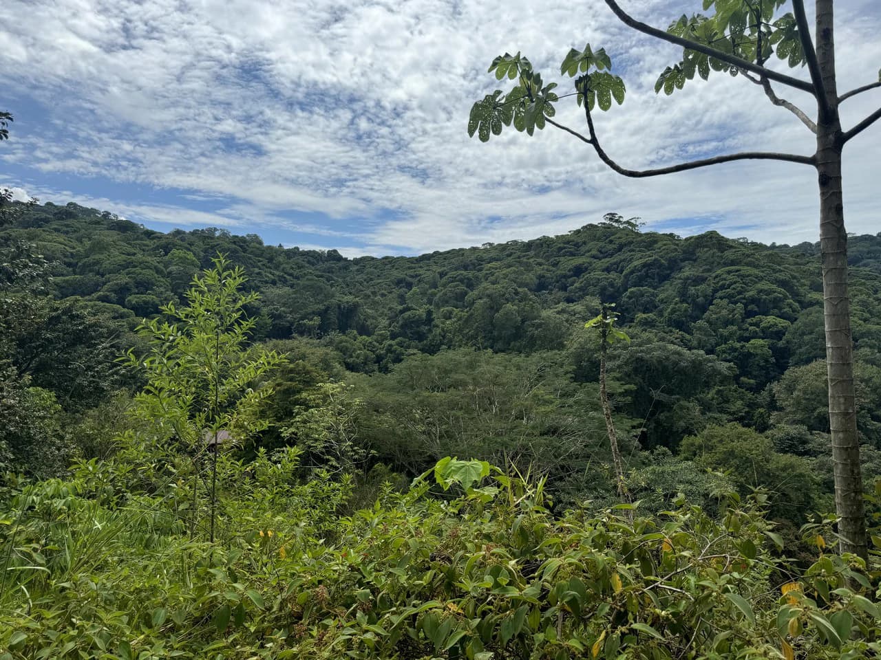 2.6 ACRES – 3 Bedroom Home With Beautiful Views, Several More Building Sites, Perfect For Small Farm!!! - photo 30