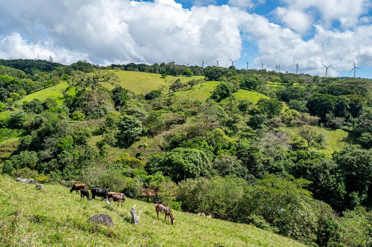 LA CABAÑA - 13+ ACRES & a TINY HOUSE & outstanding VIEWS - REDUCED PRICE - SELLER MOTIVATED - photo 35