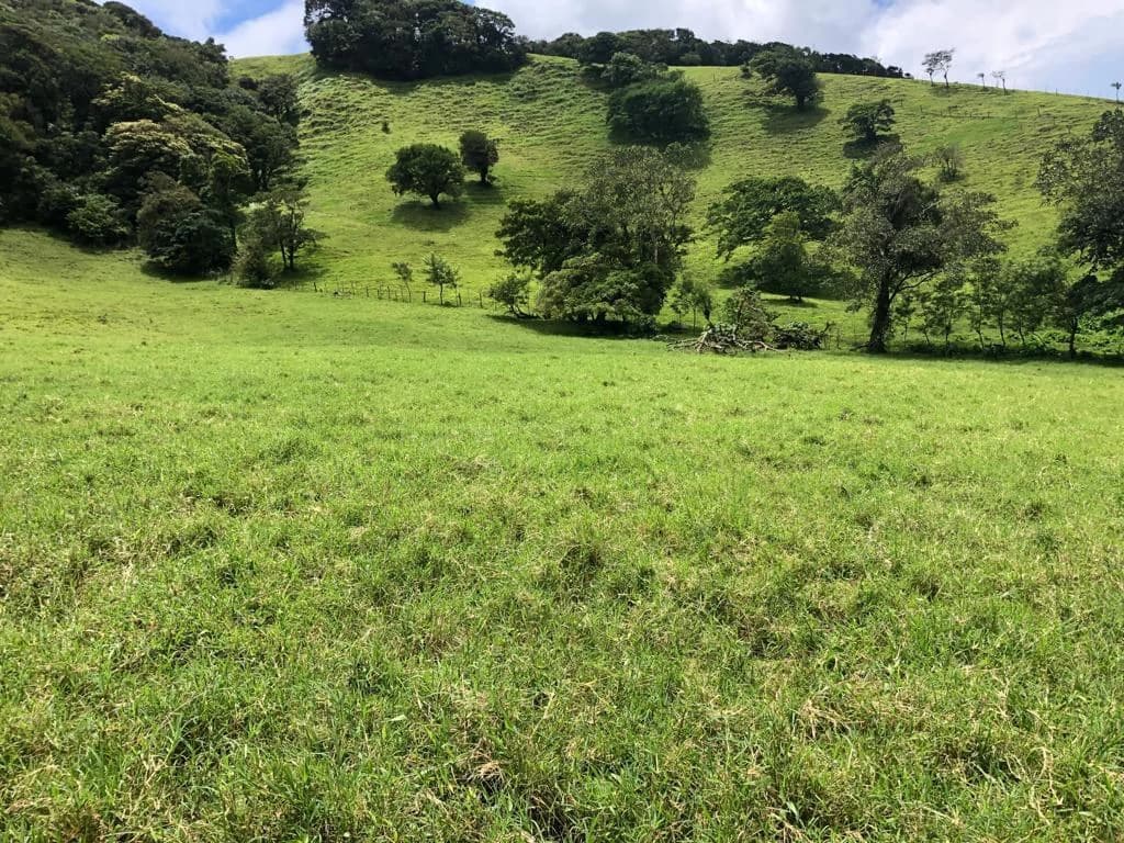 Beautiful property with lake view - Arenal - photo 7