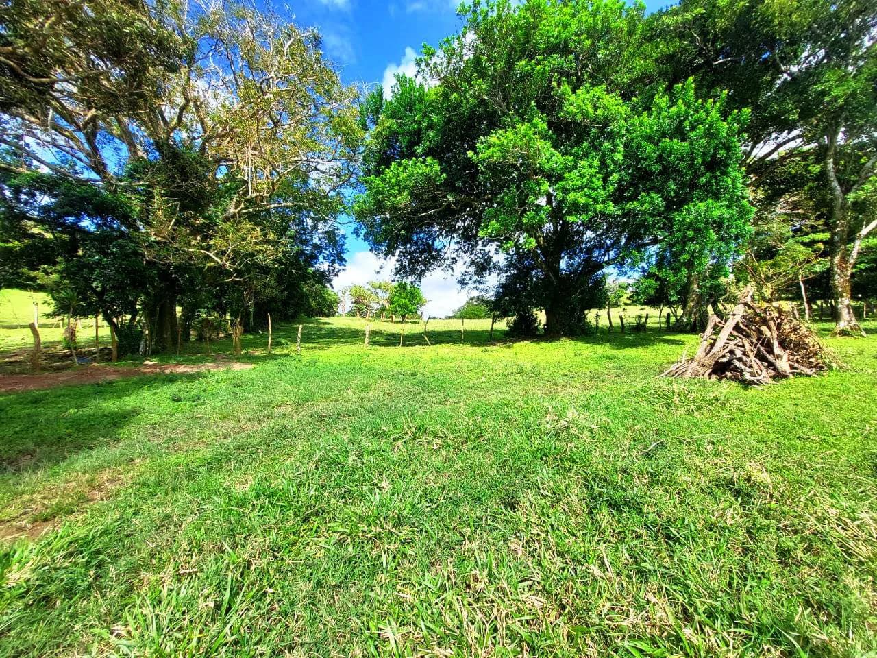 LA CABAÑA - 13+ ACRES & a TINY HOUSE & outstanding VIEWS - REDUCED PRICE - SELLER MOTIVATED - photo 12