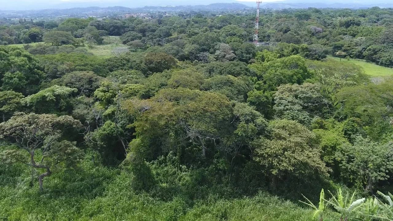 Home Construction Site For Sale in La Garita - photo 7