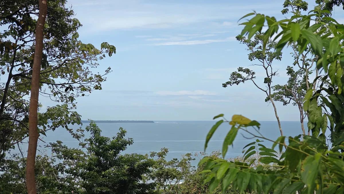 ID 345: 6,763m² Ocean View Development Land for Sale in Puerto Viejo - photo 11