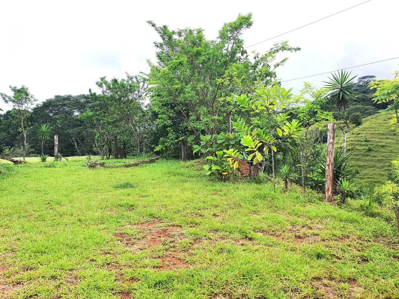 Land in Bijagual with a river crossing the property! - photo 4