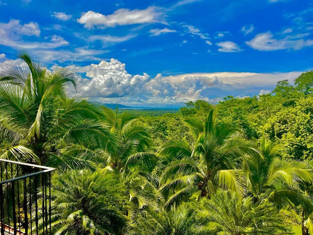 3 houses for sale with ocean views, gardens and mountains Orotina Costa Rica - photo 2