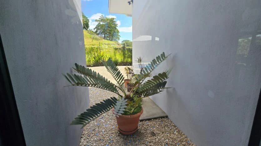 Beautiful Casa Irina, with pool and large yard: Close to the beach in tranquil Monterrey!