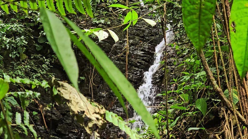 Finca Makambu: Countryside, Mountain, Near the Coast and Riverfront Property For Sale in Barú - photo 13