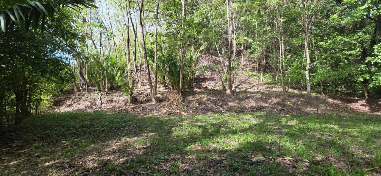 Lote Ceiba: Beautiful Peaceful Lot Near Barrigona Beach - photo 4