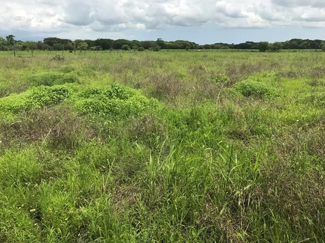 Commercial Development Land for Sale in Guanacaste, Costa Rica - photo 2