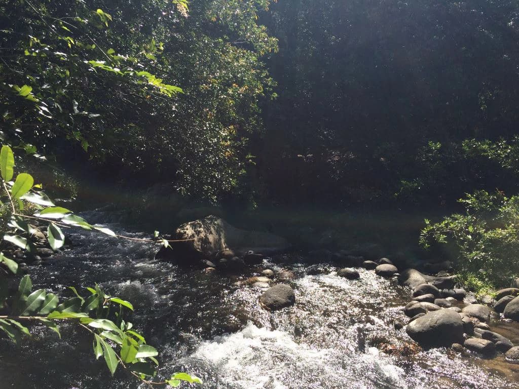 Large Property in Curubandé of Liberia - photo 12